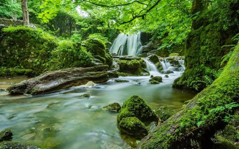 高性能可靠性可靠性